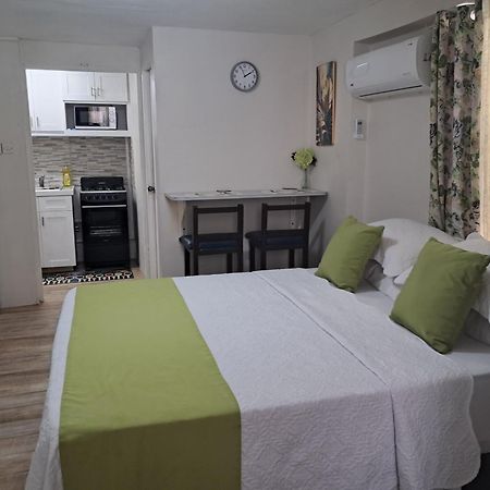 Michand Guest Apartment: Cozy Airport-Adjacent Stay Christ Church Exterior photo